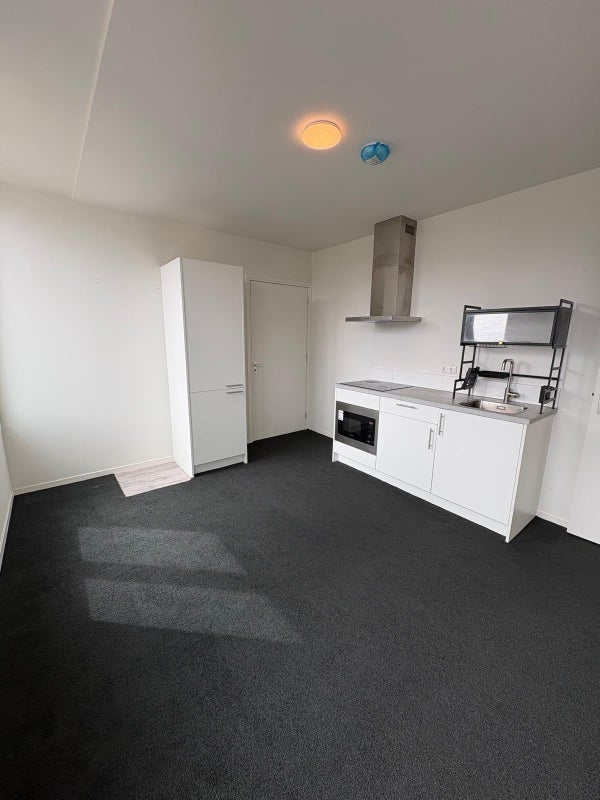 House Image 4