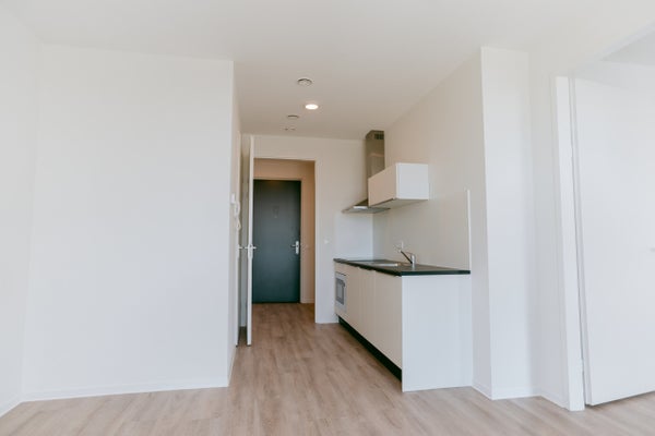 House Image 3