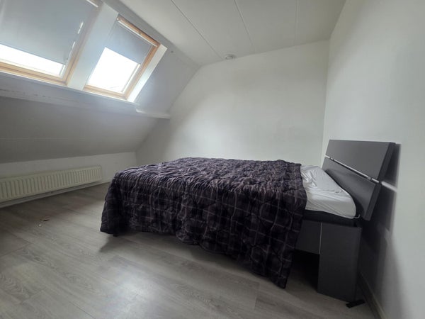 House Image 4