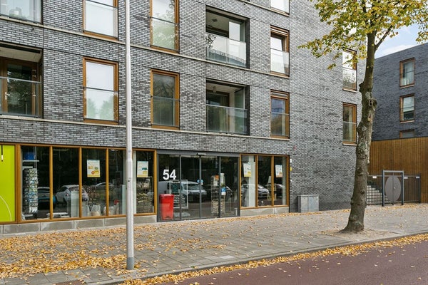 House Image 3