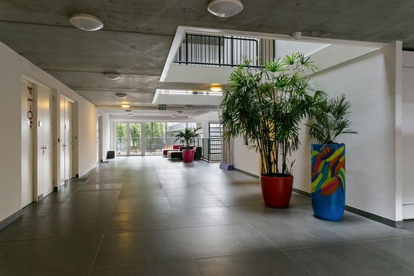 House Image 4