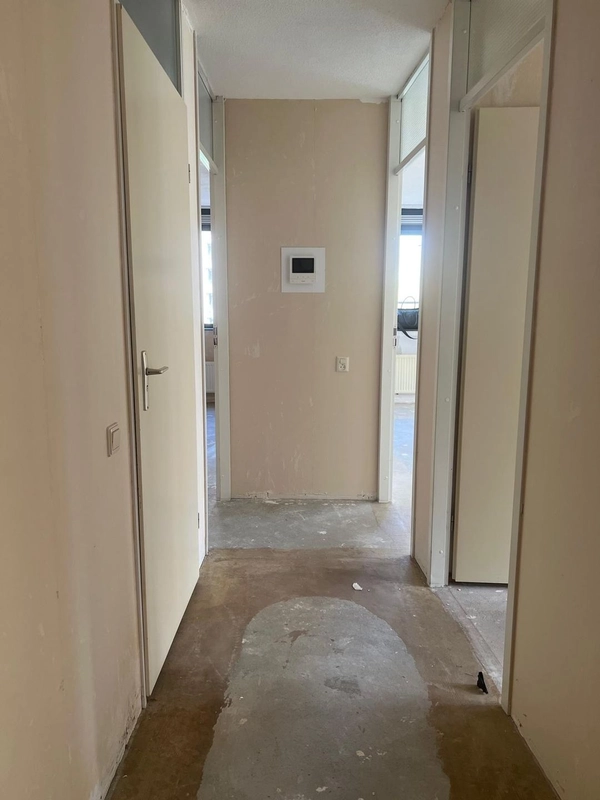 House Image 4