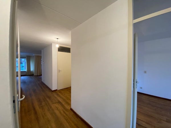 House Image 3