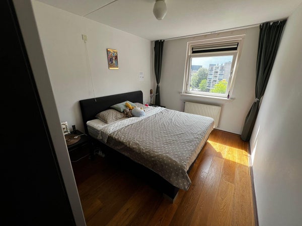 House Image 5