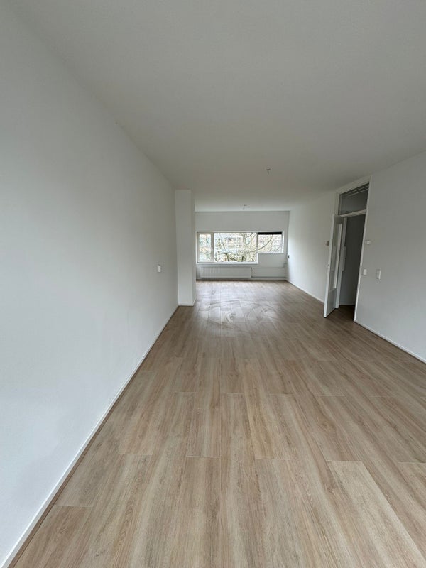 House Image 2