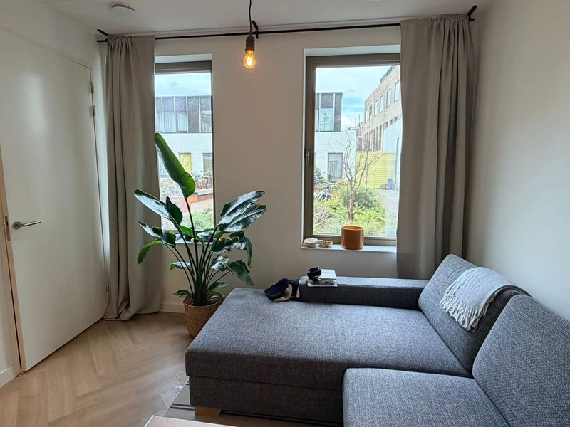 House Image 4