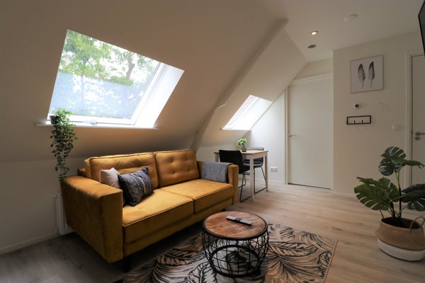 House Image 3