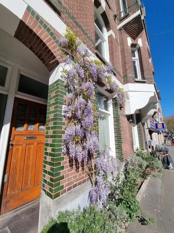 House Image 2