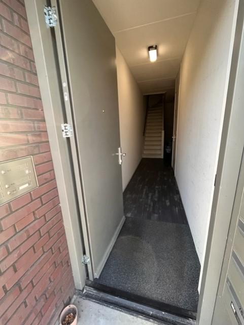 House Image 5