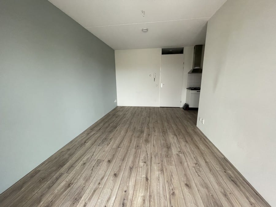 House Image 4