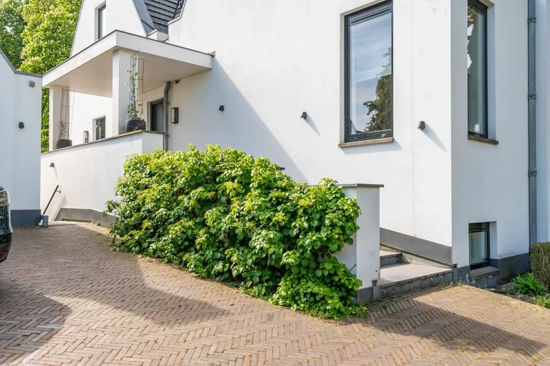 House Image 2