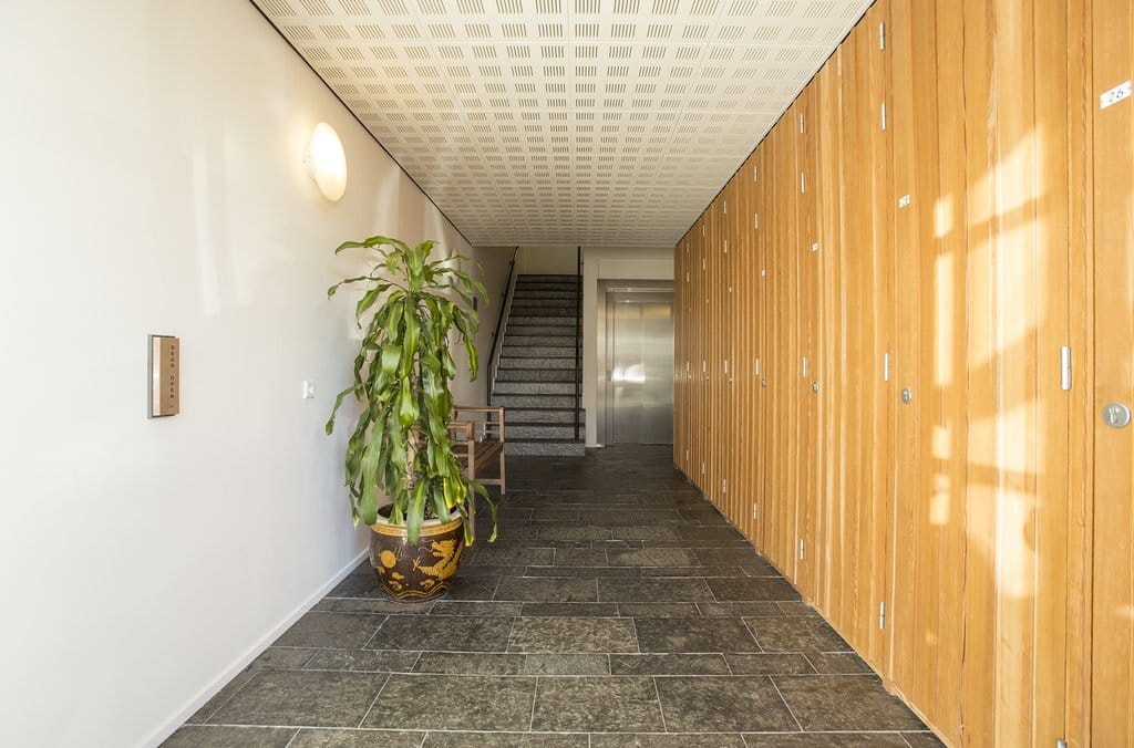 House Image 4