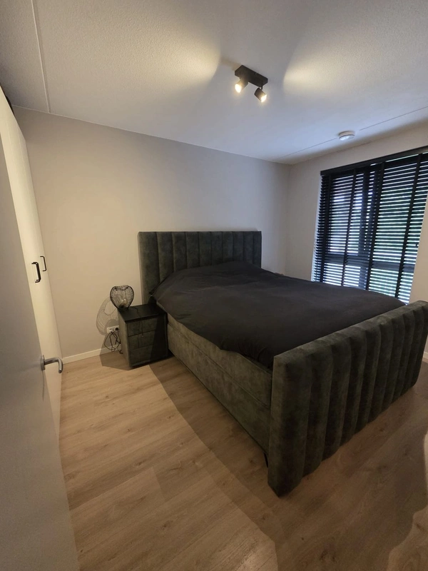 House Image 4