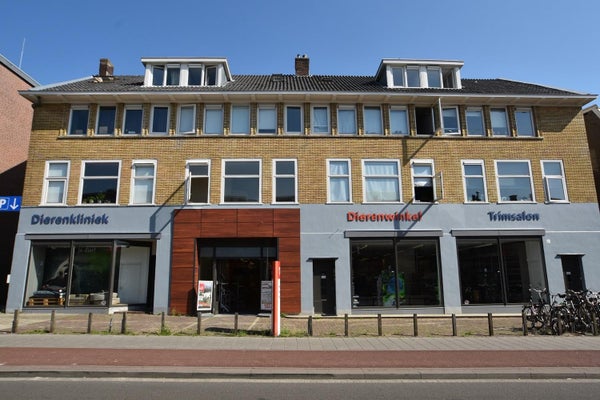 House Image 3