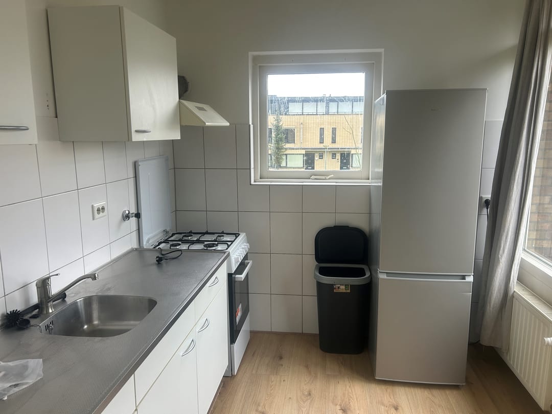House Image 4