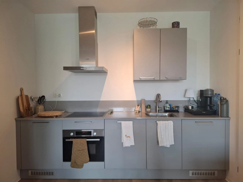 House Image 4