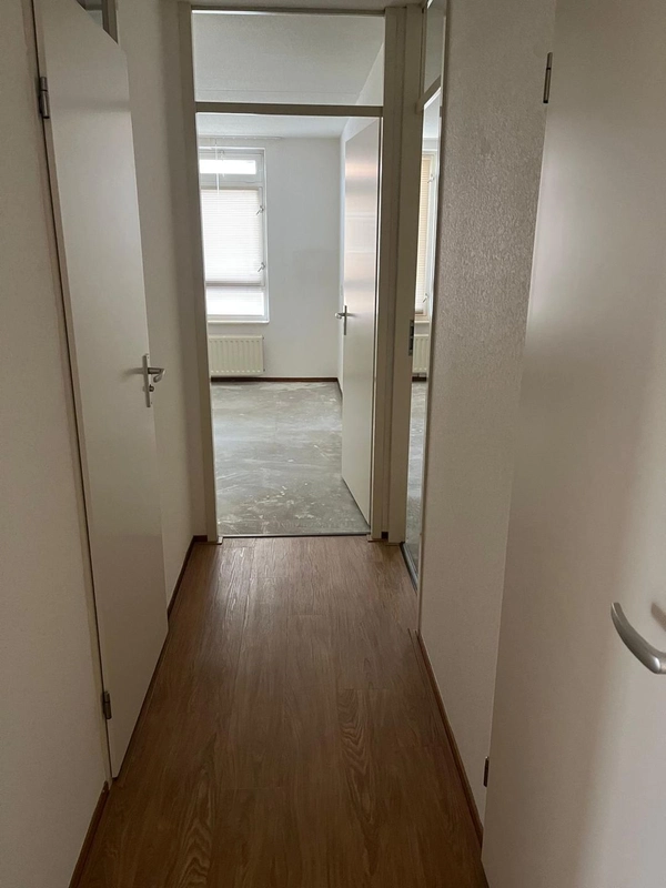 House Image 3