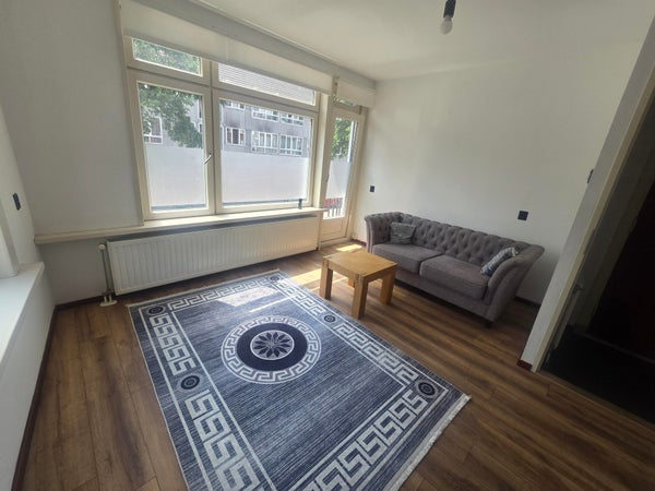 recent house