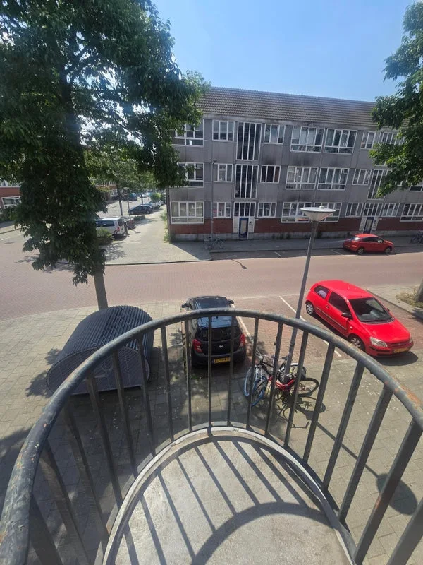 House Image 4
