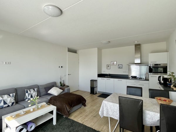 House Image 5