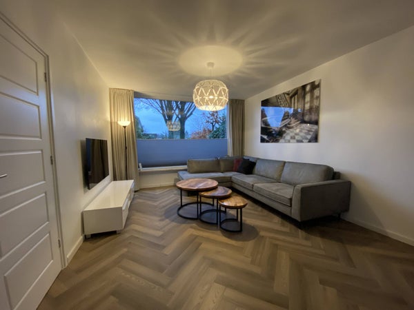 House Image 3