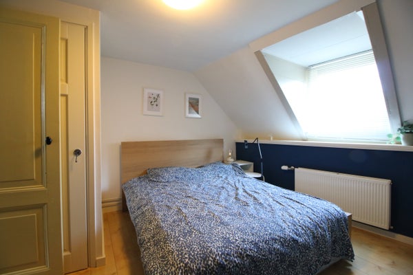 House Image 3