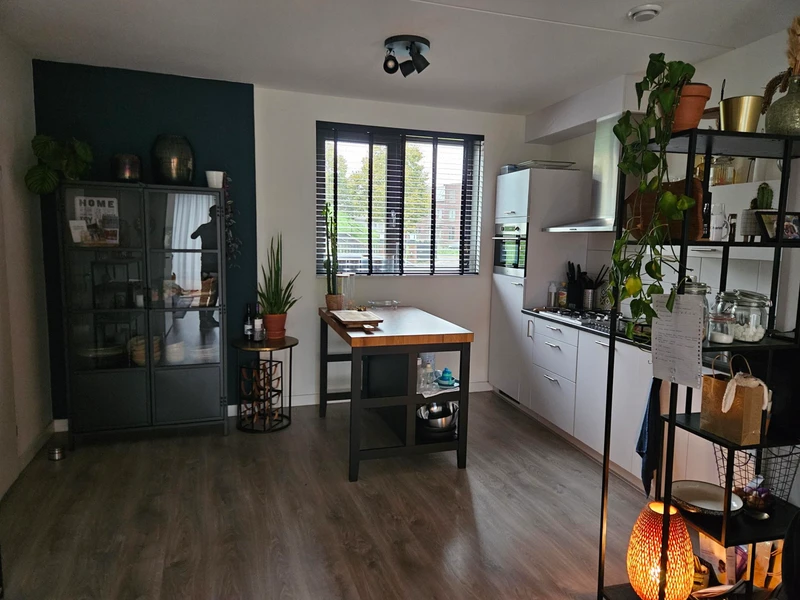 House Image 3