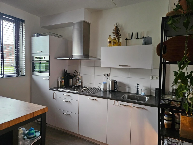 House Image 4