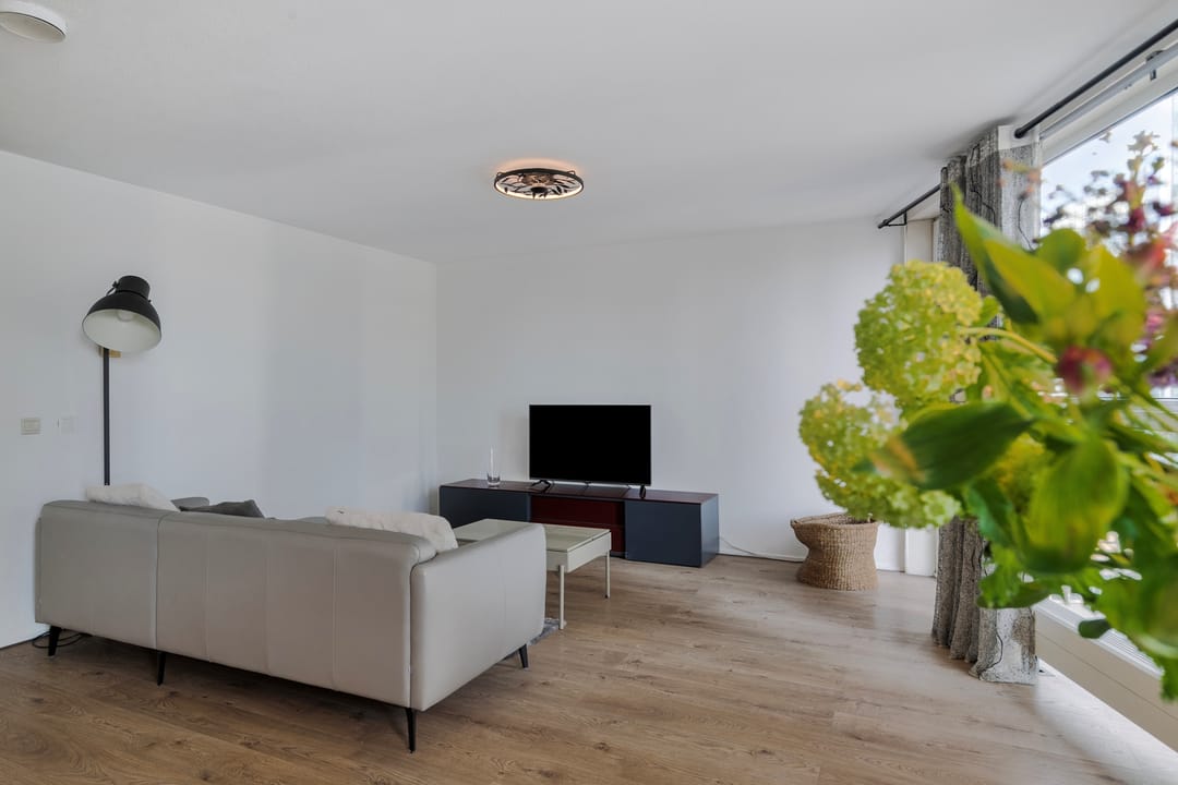 House Image 3