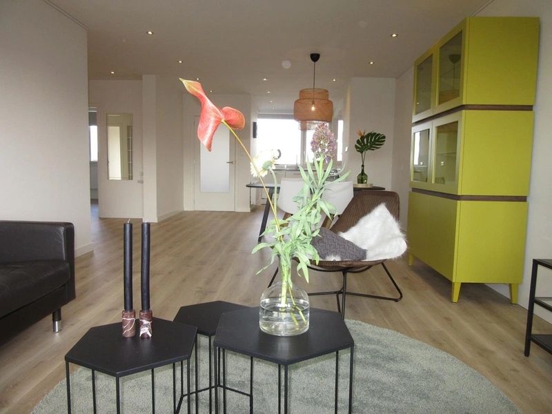 House Image 4