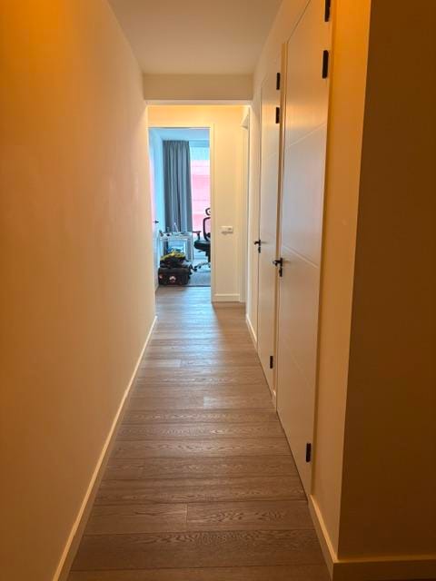 House Image 2