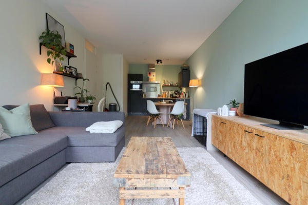 House Image 3