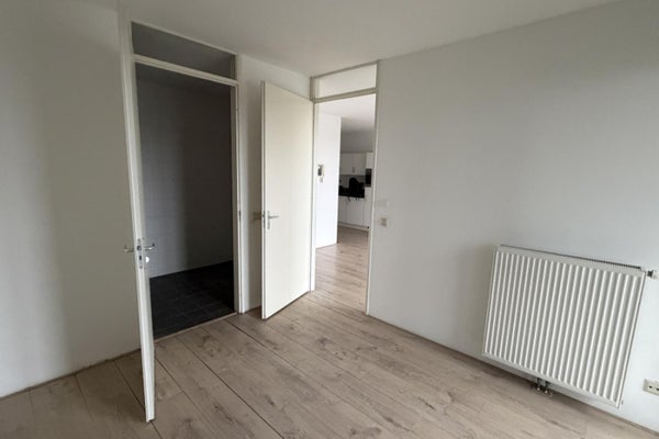 House Image 5