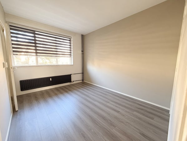House Image 4