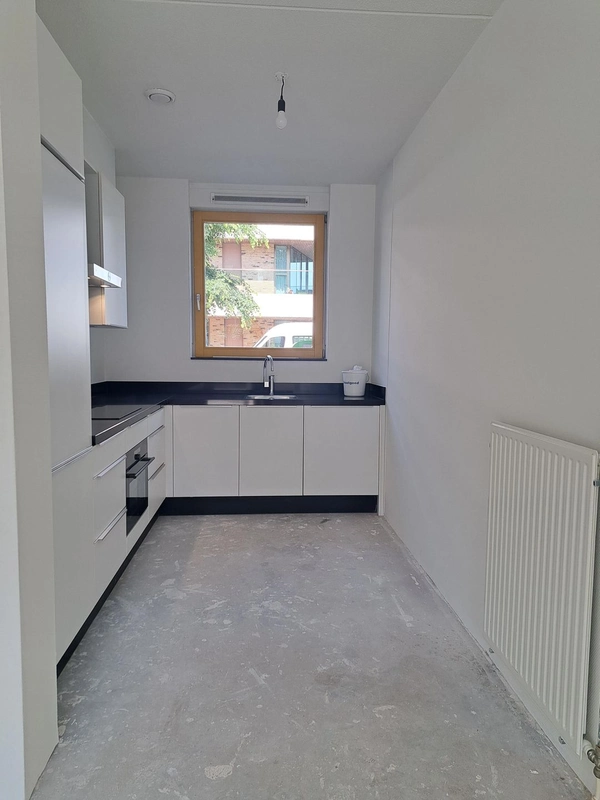 House Image 4
