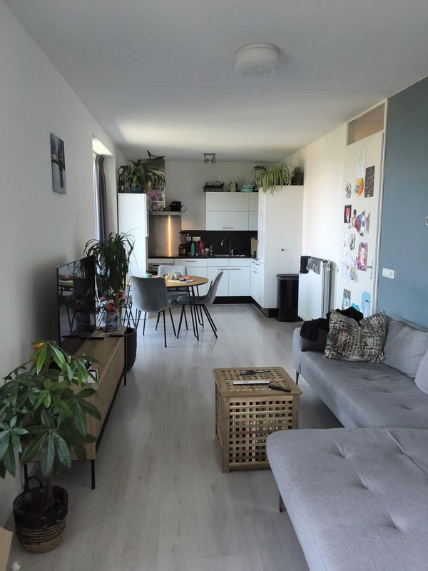 House Image 3