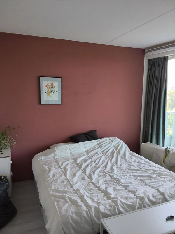 House Image 5