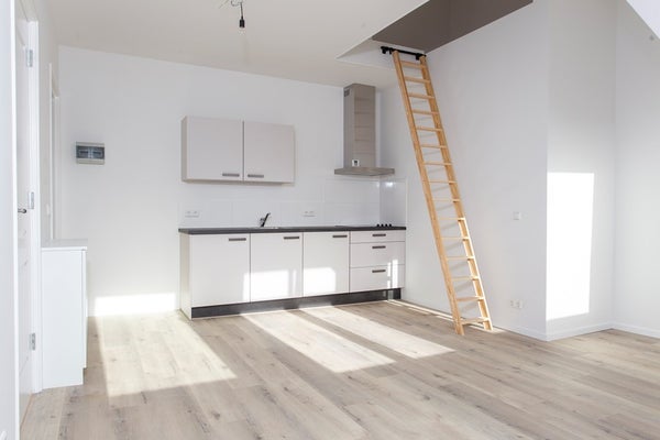 House Image 4