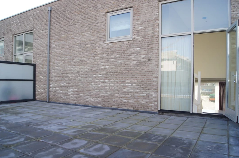 House Image 3