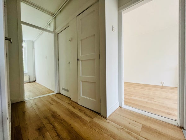 House Image 5