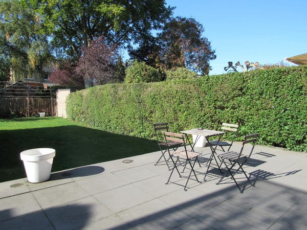 House Image 3