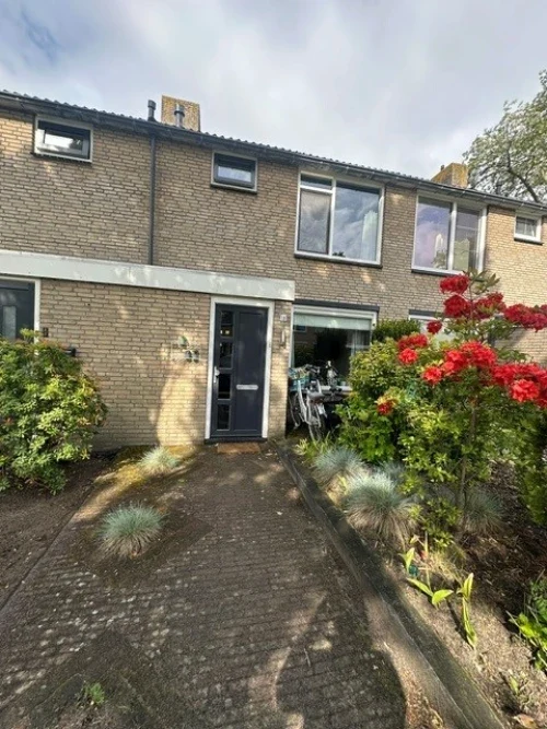 recent house