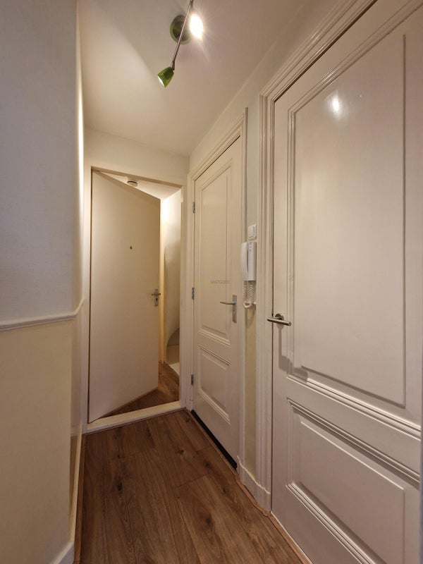 House Image 3