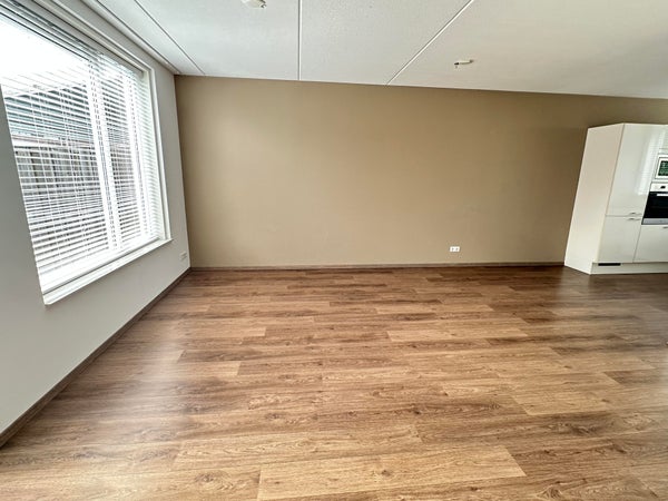 House Image 3