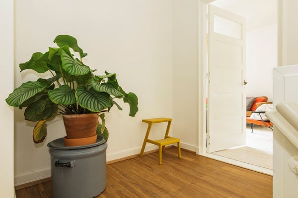 House Image 3