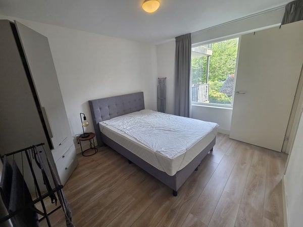 House Image 4