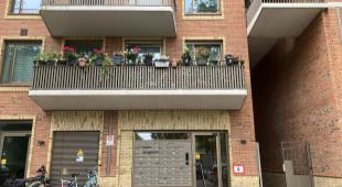 House Image 2