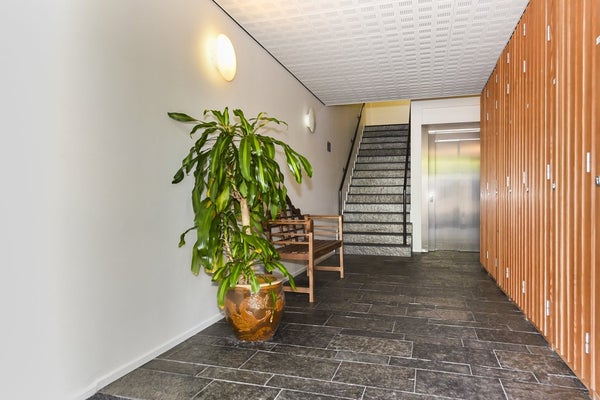 House Image 2