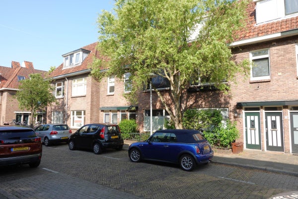 House Image 5