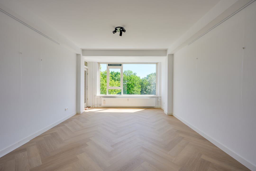 House Image 3
